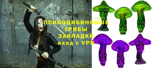 спиды Абаза