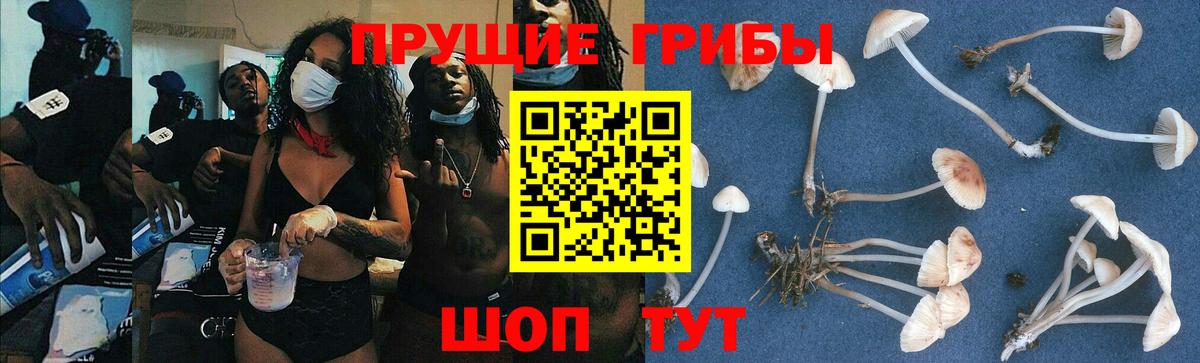 Галлюциногенные грибы Magic Shrooms  Вход с VPN  Ангарск 
